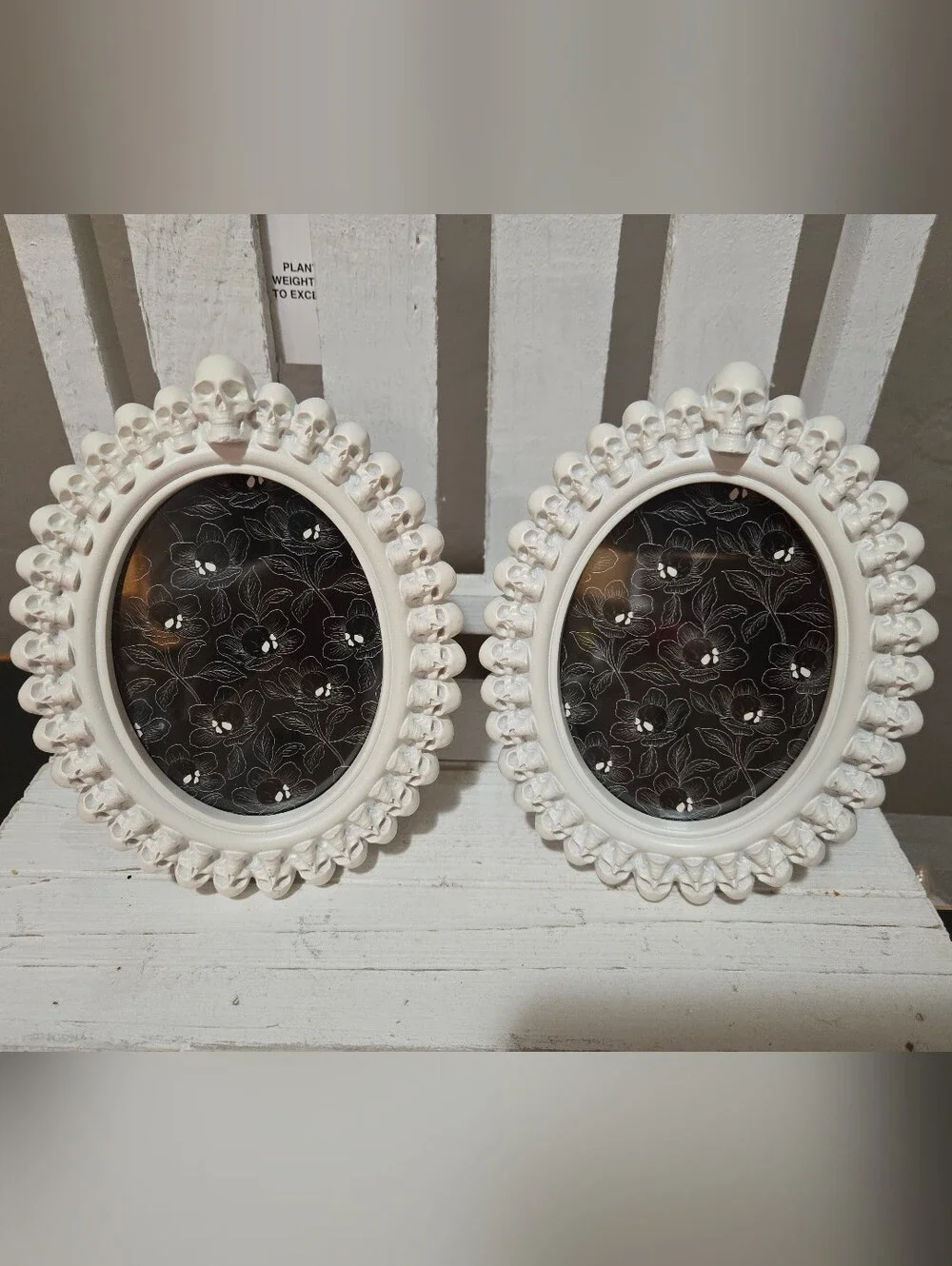 Target Halloween Skull Frames Set Of 2